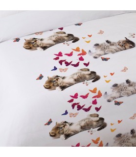 Housse de couette 200x200 Sweet Kitty + 2 taies coton 52 fils