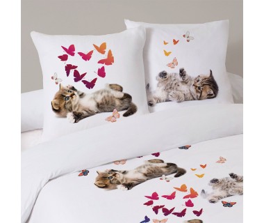 Housse de couette 200x200 Sweet Kitty + 2 taies coton 52 fils