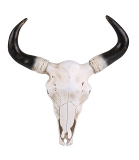 Crâne de vache déco 41 cm